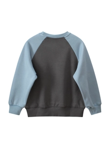 Classic round neck raglan sleeve sweatshirt for boys in dark grey and light blue