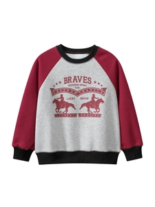 Kids Raglan Sleeve Pullover Sweatshirt Fleece Lined Cotton Blend American Vintage Letter Print Unisex Boys Girls Warm