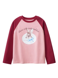 Maglietta A Maniche Lunghe Per Ragazze 100% Cotone Maniche Raglan Stampa Coniglio Cartone Animato Girocollo Top Casual