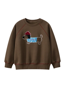 Felpa da Ragazzo in Pile Misto Cotone Stile Coreano Manica Lunga Raglan Top Ricamo Cucciolo Caffè Abbigliamento Invernale