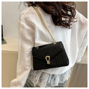 Detail of black woven crossbody bag featuring a golden U-shaped clasp and chain strap