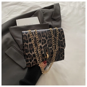 Detail of leopard print crossbody bag with gold chain strap and vintage oval metal clasp