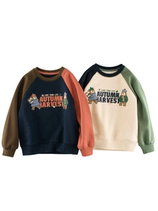 Childrens Sweatshirt Cotton Blend Fleece Lined Color Block Cartoon Bear Crew Neck Raglan Sleeve Casual Pullover