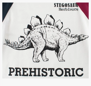 Close-up of stegosaurus herbivore graphic print on contrast sleeve youth cotton t-shirt