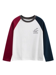 Boys Long Sleeve T-Shirt Cotton Raglan Colorblock Stegosaurus Dinosaur Print Casual Round Neck Top For Big Kids