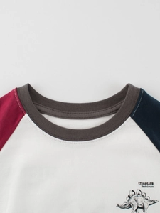 Kids long sleeve color block raglan T-shirt with stegosaurus print and ribbed crew neck
