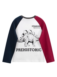 Boy's long sleeve raglan T-shirt with dinosaur print and colorful contrast sleeves