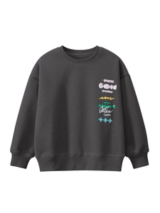 Kids Boys Crewneck Sweatshirt Cotton Blend Fleece Lined Long Sleeve Warm Pullover Streetwear Letter Print Youth