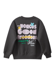 Dark grey crewneck youth sweatshirt with colorful graphic letters on the back