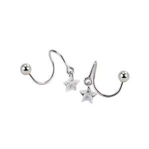 S925 sterling silver S-shaped spiral earrings with star zircon pendants on white background