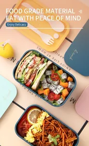 Detail of multi-color double-layer lunch boxes with built-in cutlery storage and food set