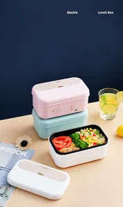 Detail of 304 stainless steel electric lunch box with wood grain lid and thermal display