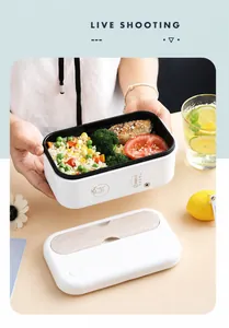 Detail view of electric heated lunch box with temperature display and wood grain lid cover