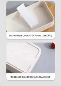 Detail view of the removable divider and thickened stable base of the lunch box