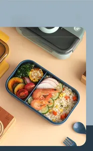 Detailed view of the 1100ml divided lunch box with two sections for food storage