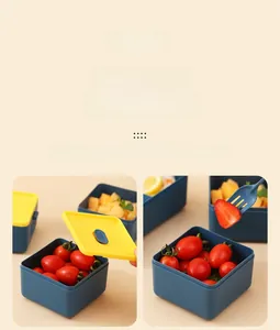 Detail of multi-compartment lunch box with fresh fruit showing leak-proof separation
