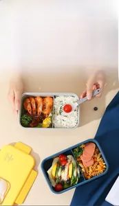 Dual-compartment lunch box with spoon detail showing blue and grey color options