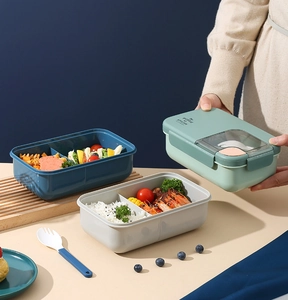 Detail view of two-compartment lunch box with utensils storage and transparent window
