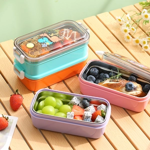304 Edelstahl Lunchbox Für Kinder Schüler Tragbare Doppelschicht Bento Box Mit Cartoon Dinosaurier Muster Auslaufsicher Behälter