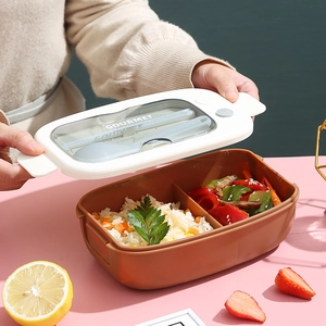 Japanese style 2-compartment microwave lunch box with utensils and brown container