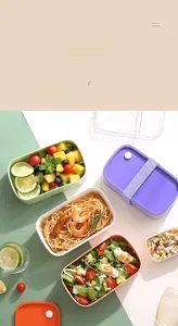 Detail of multi-compartment lunch box in Morandi colors with secure elastic strap