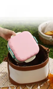 Pink and green lunch box being placed into a portable storage bag for outdoor picnic use