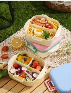 Outdoor picnic scene showing a multi-layer bento box with divided compartments and handle