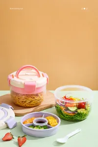 Macro view of partitioned salad box with lunch tray, sealing lid and portable handle