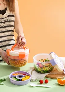 Detail of portable lunch box with handle and separate tray for salads and meals