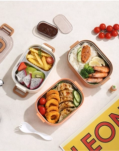 Boîte à déjeuner double couche en inox avec poignée de transport et compartiments