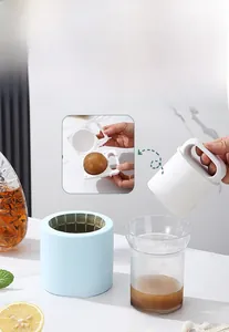 Detailed view of the 3-in-1 silicone ice mold set including tray and storage container