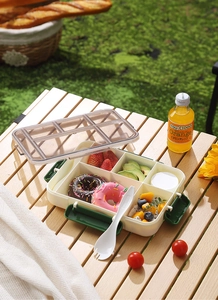 Five-compartment lunch box set with beige tray, green buckles, and spoon for picnic