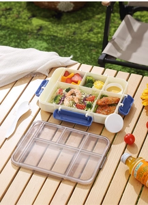 Portable lunch box with five compartments for picnic use on a light wood table