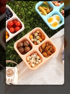 Outdoor picnic scene with a four-compartment bento box on green moss and white cloth