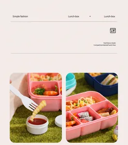 Details einer tragbaren Lunchbox mit Besteck und Saucenbecher für ein Picknick im Freien
