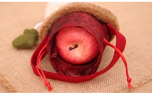 Detailed view of red Christmas apple gift bag with plush trim and green glove charm