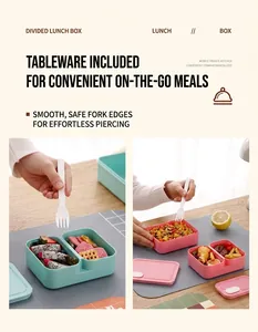 Detail view of compartment bento lunch box with cutlery set for school and office use