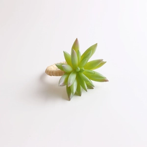 Succulent napkin ring with natural grass woven band for elegant dining table decoration