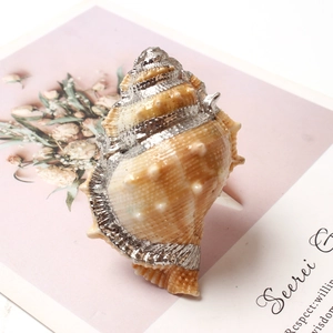 Macro shot of seashell napkin ring with silver painted edges on a floral card
