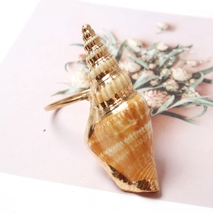 Macro detail of natural sea snail napkin ring with elegant gold metal plated edges