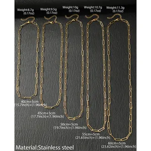 Tableau des tailles pour colliers en acier inoxydable montrant longueurs et poids précis