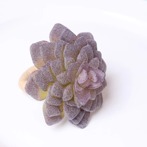 Dettaglio macro del portatovagliolo succulenta con petali viola opachi e anello di fissaggio