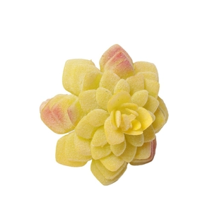 Portatovagliolo con pianta succulenta artificiale gialla e punte rosa su sfondo bianco