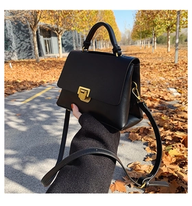 Detail einer schwarzen Handtasche aus Leder mit goldener Schnalle im herbstlichen Park