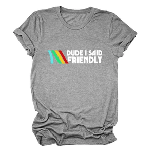 Detail of grey crewneck T-shirt with 'DUDE I SAID FRIENDLY' text and color stripes