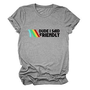Detail of grey crewneck t-shirt featuring colorful stripes and DUDE I SAID FRIENDLY text