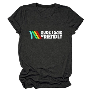 Detail of charcoal gray crew neck t-shirt with Dude I Said Friendly graphic and color bars