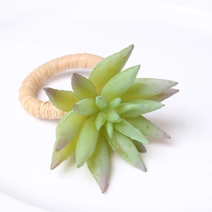 Detailed view of artificial succulent napkin ring with hand-woven grass band on white background