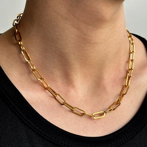 Collana A Catena Paperclip Placcata Oro Acciaio Inossidabile Minimalista Choker Geometrico Gioielli Moda Per Donna Quotidiano