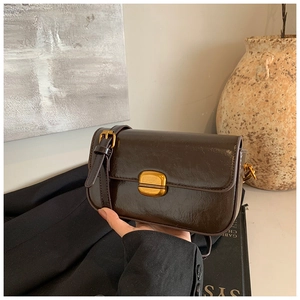 Macro detail of dark brown glossy leather texture and gold buckle on a crossbody bag